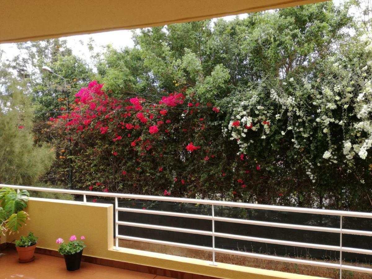 Refugio Madeira Apartment Canico  Bagian luar foto